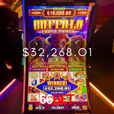 Bônus Generosos e Exclusivos no 66bet para Você!